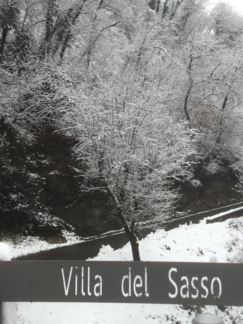 Villa Del Sasso Sasso Marconi Exteriör bild
